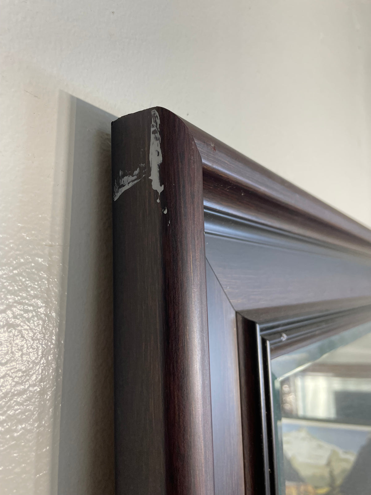 Beveled Dark Wood Frame Mirror