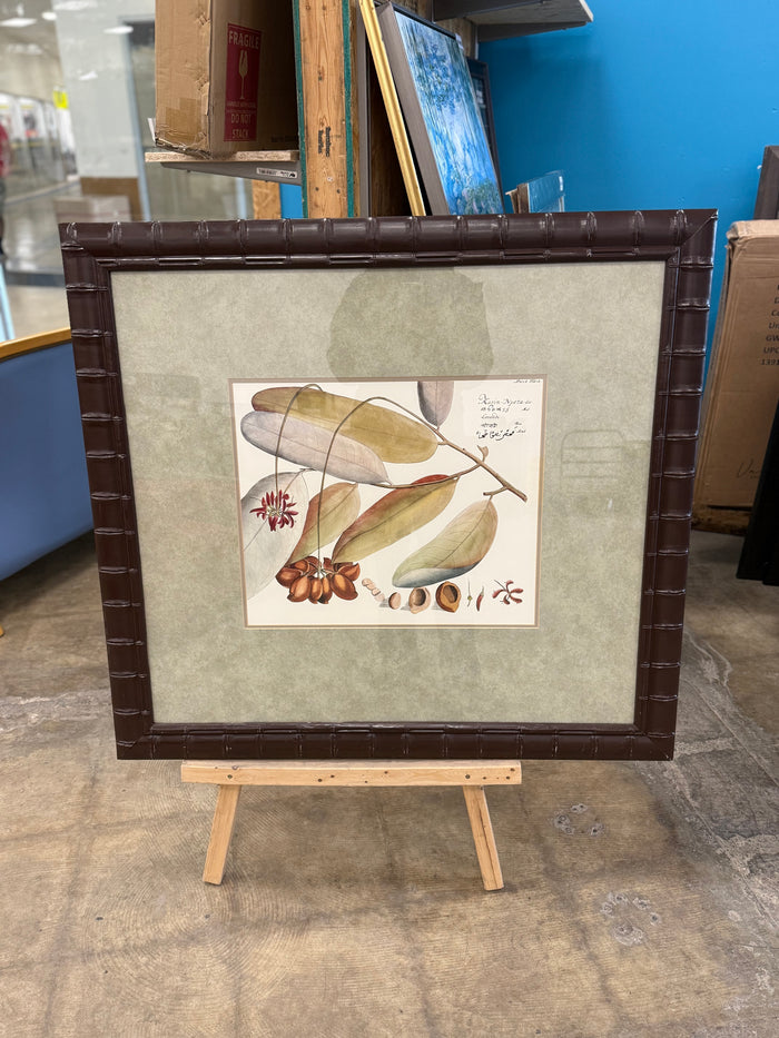 Botanical Nature Art Piece