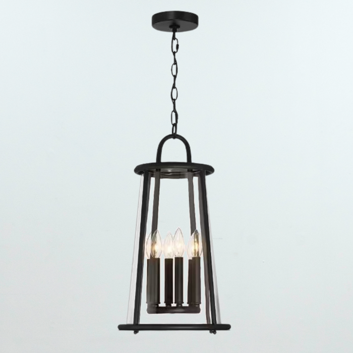 Daulle 6-Light Black Outdoor Pendant Light with Clear Glass