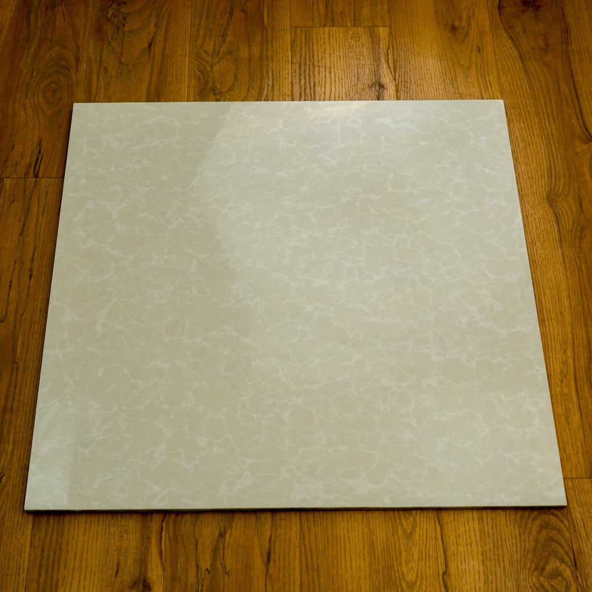 23.5" x 23.5" Foamy Marble Patterned Tile in Glossy Cream Finish – 15.50 sq. ft. (4 per box)