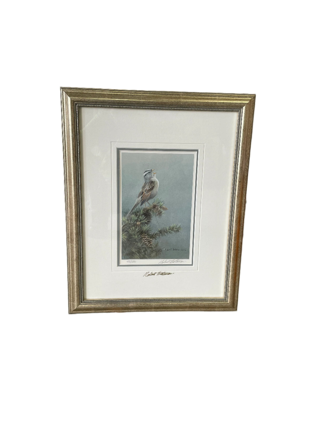 Robert Bateman original Bird Art print 495/1500