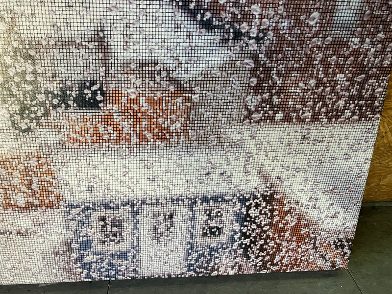 Snow Through a Screen