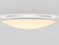 Sparkle 17.7-inch 1-light LED Ceiling Flushmount