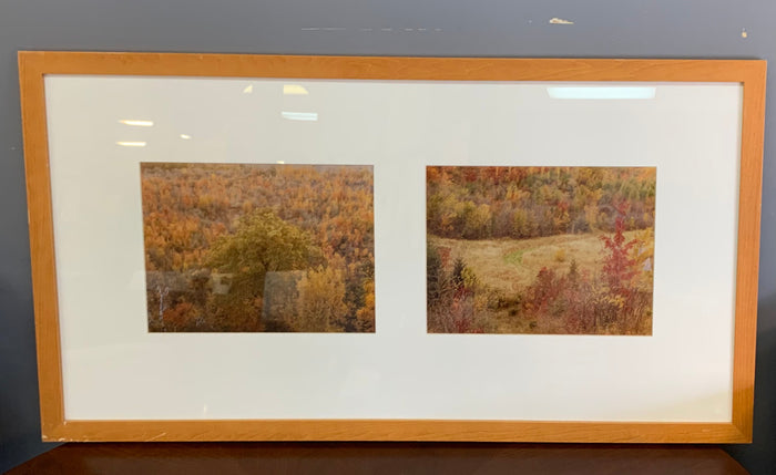 Autumn Prints Frame
