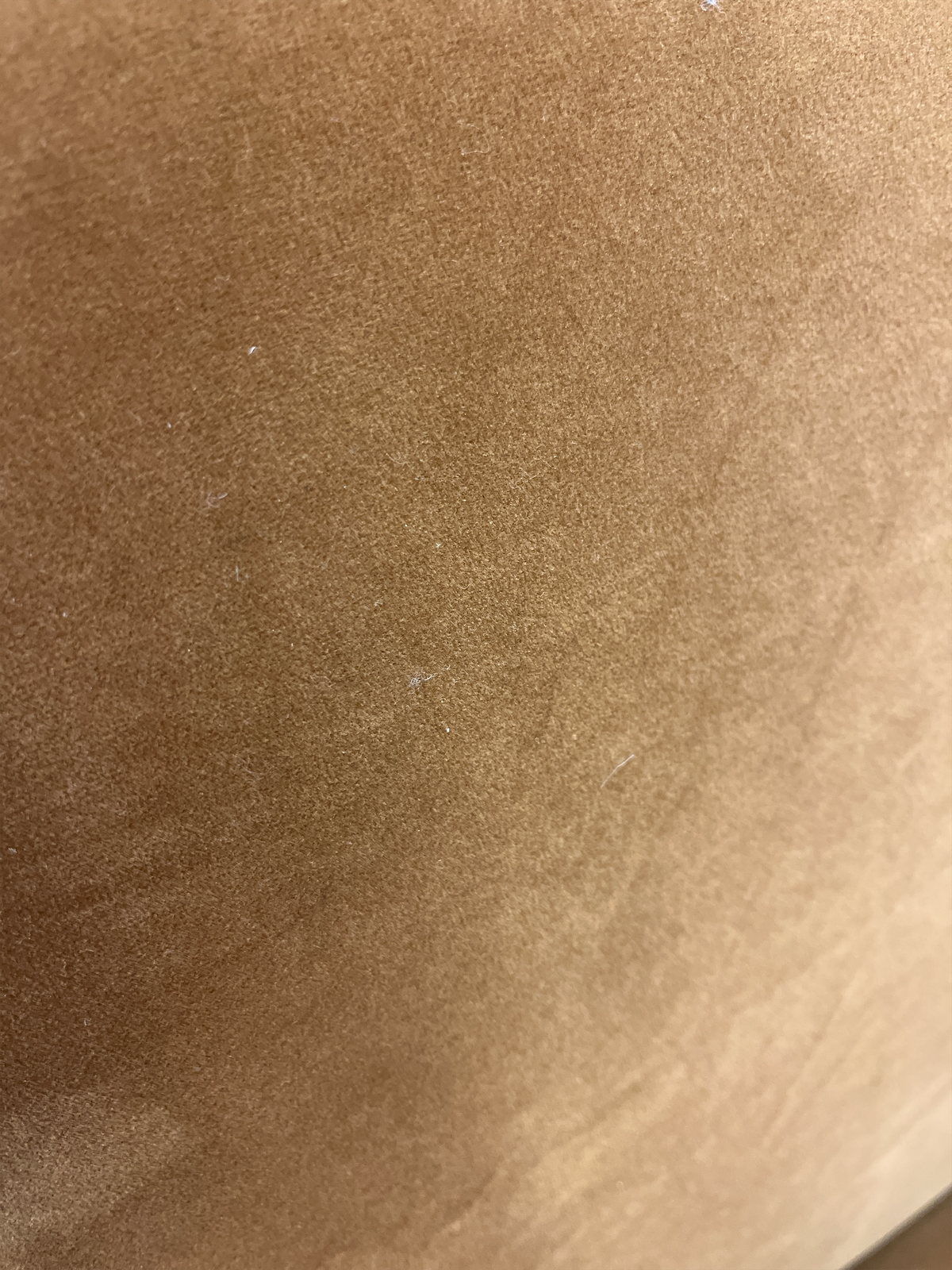 Contemporary Burnt Umber Upholstered Loveseat Sofa