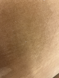 Contemporary Burnt Umber Upholstered Loveseat Sofa