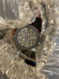 3 Cs Crystal Flushmount