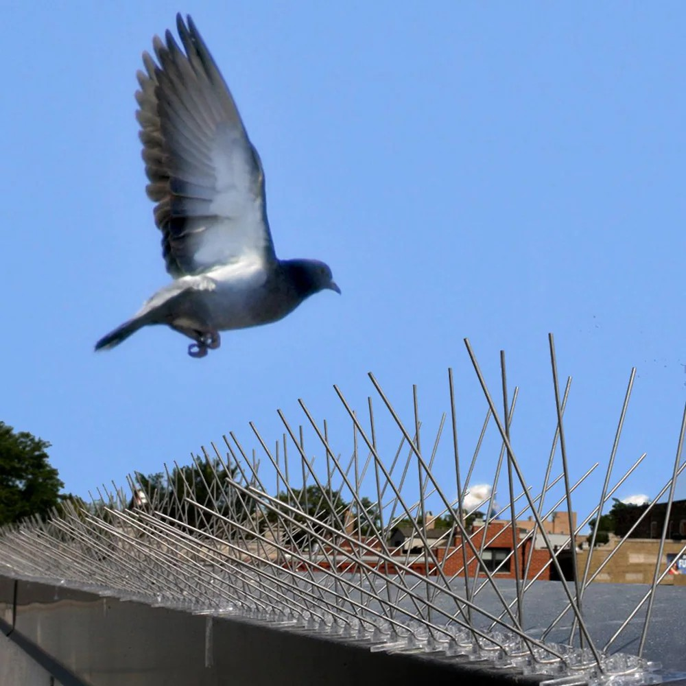 Stainless Steel Bird Spikes 10 Strips x1ft