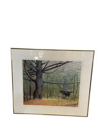 Framed 'Living Tree' Artwork