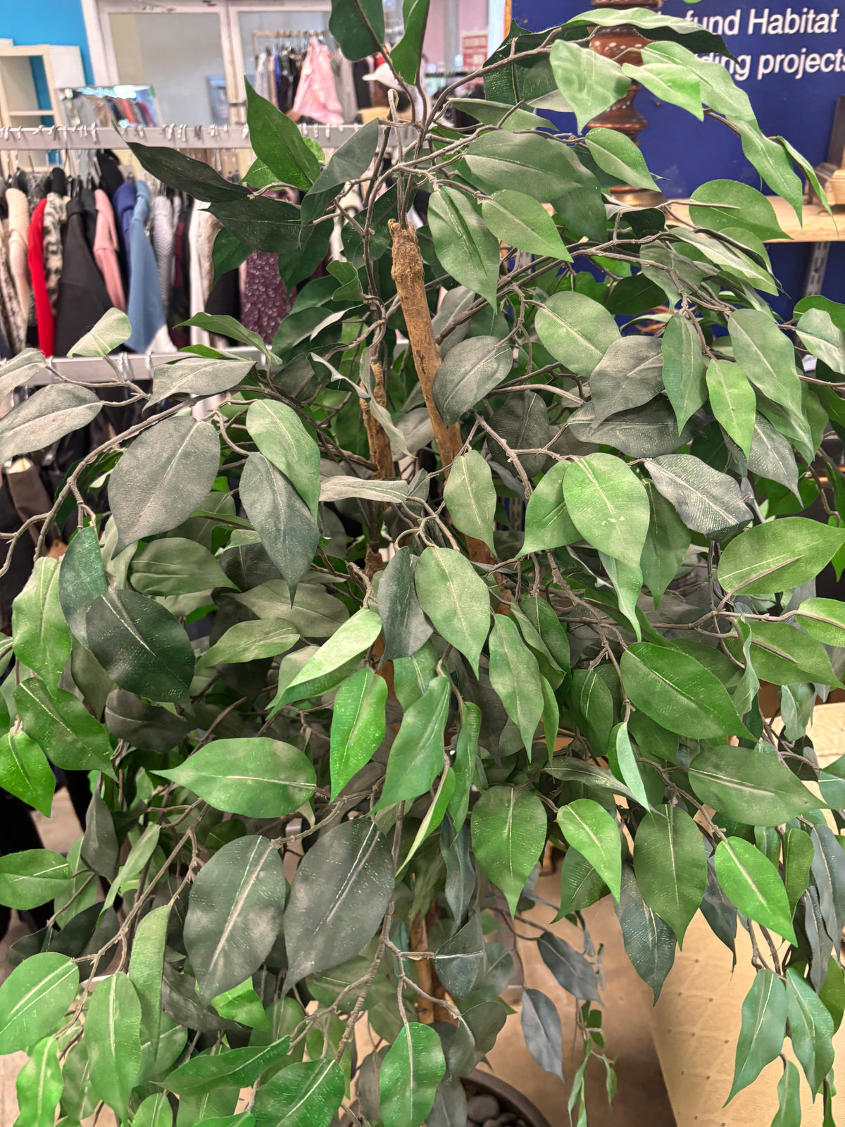 Artificial Ficus Tree with Round Base