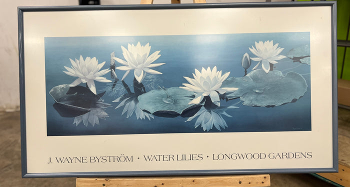 Water Lilies in Long Wood Gardens by J. Wayne Bystrom