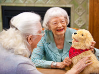 Ageless Innovation Joy for All Dog Companion
