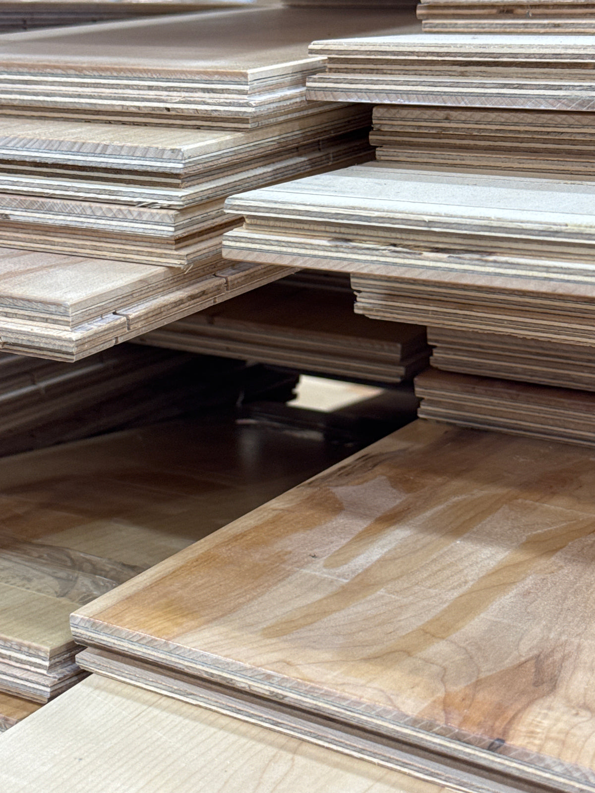 Multi-Layer Engendered Wood Panels