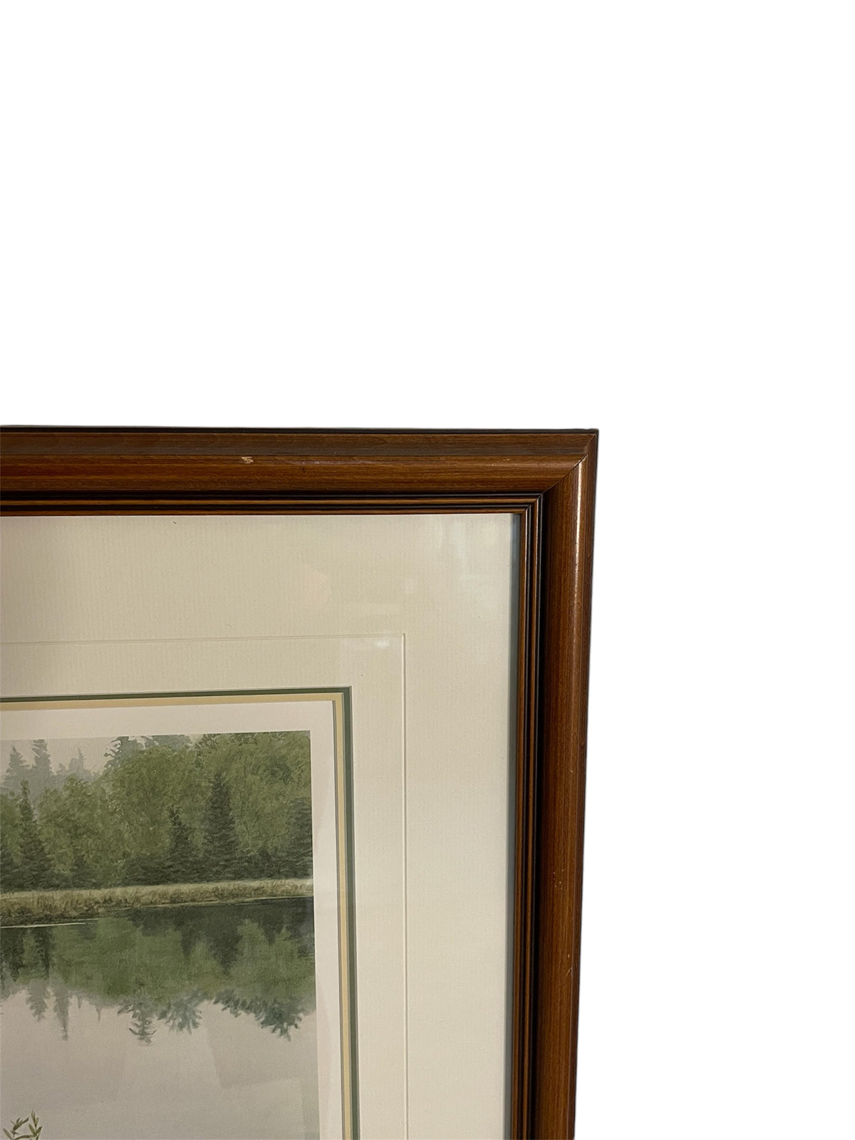 Framed "Great Northern Diver" Artwork