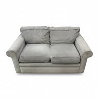 Grey Plush Loveseat