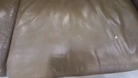 Green Leather Sofa (Stained)