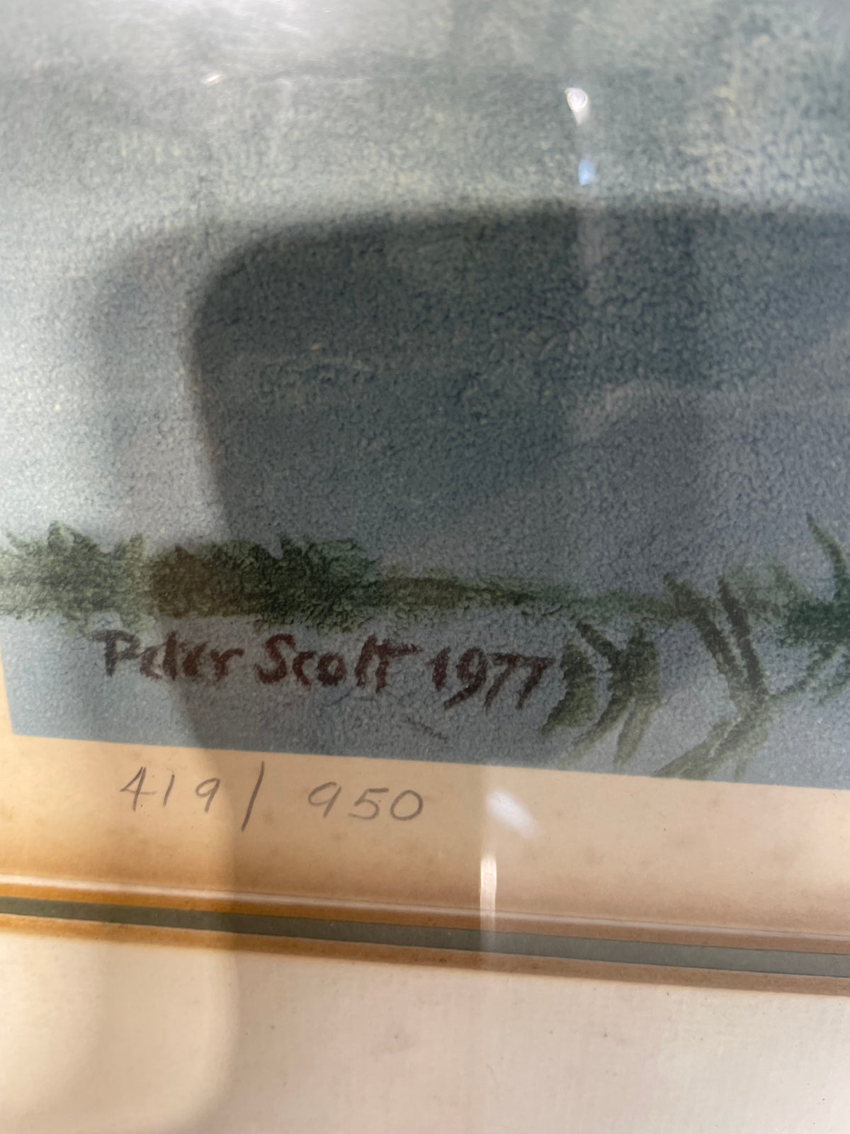 Framed Print "Canadian Geese" - Peter Scott