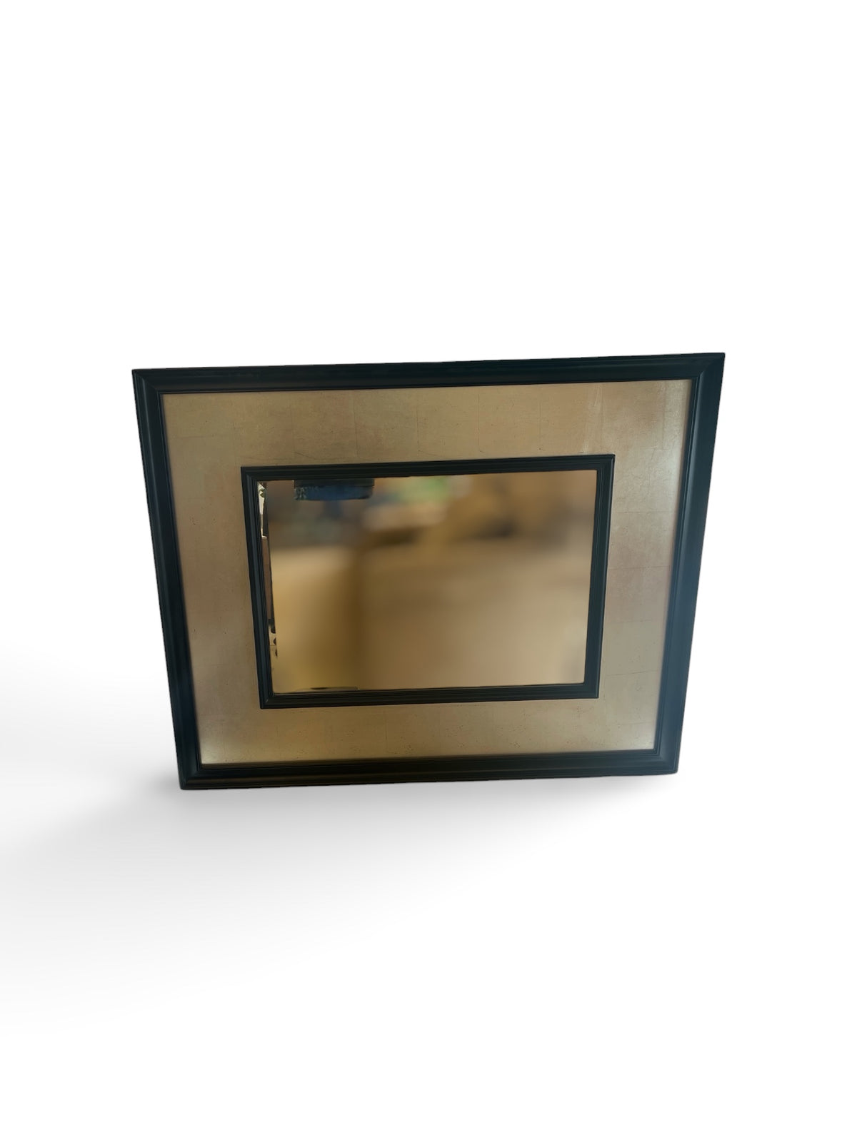 Contemporary Two Tone Silver & Black Framed Wall Mirror