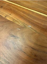 Structube Live Edge Table