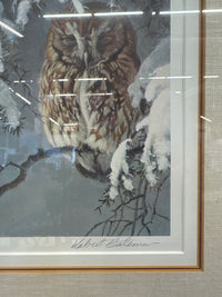 Asleep in the Hemlock By Robert Bateman