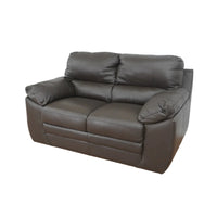 60-inch 2-Seater Genuine Leather Loveseat Sofa