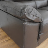 60-inch 2-Seater Genuine Leather Loveseat Sofa