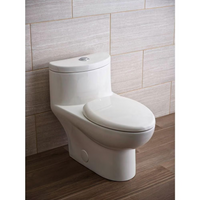 American Standard Tofino 4.1/6.0 LPF Dual Flush Standard Height Concealed One-Piece Toilet in White