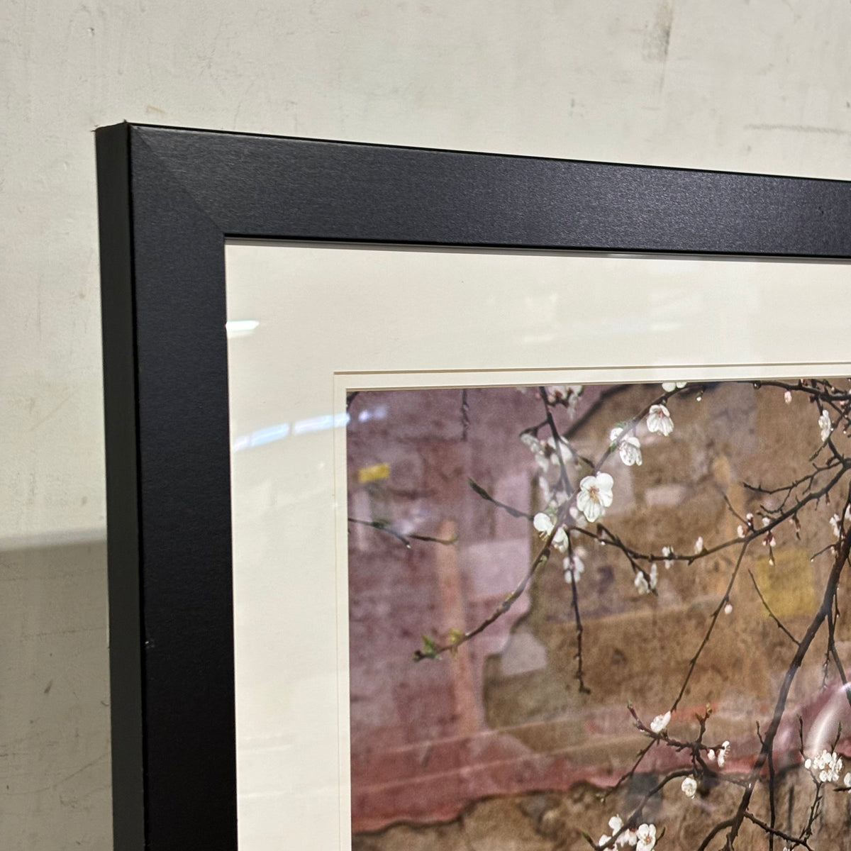 Framed Artwork - Blossoms in Harmony