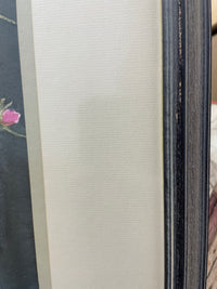 Garden Flowers in Bloom