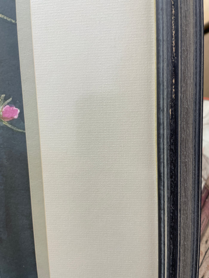 Garden Flowers in Bloom