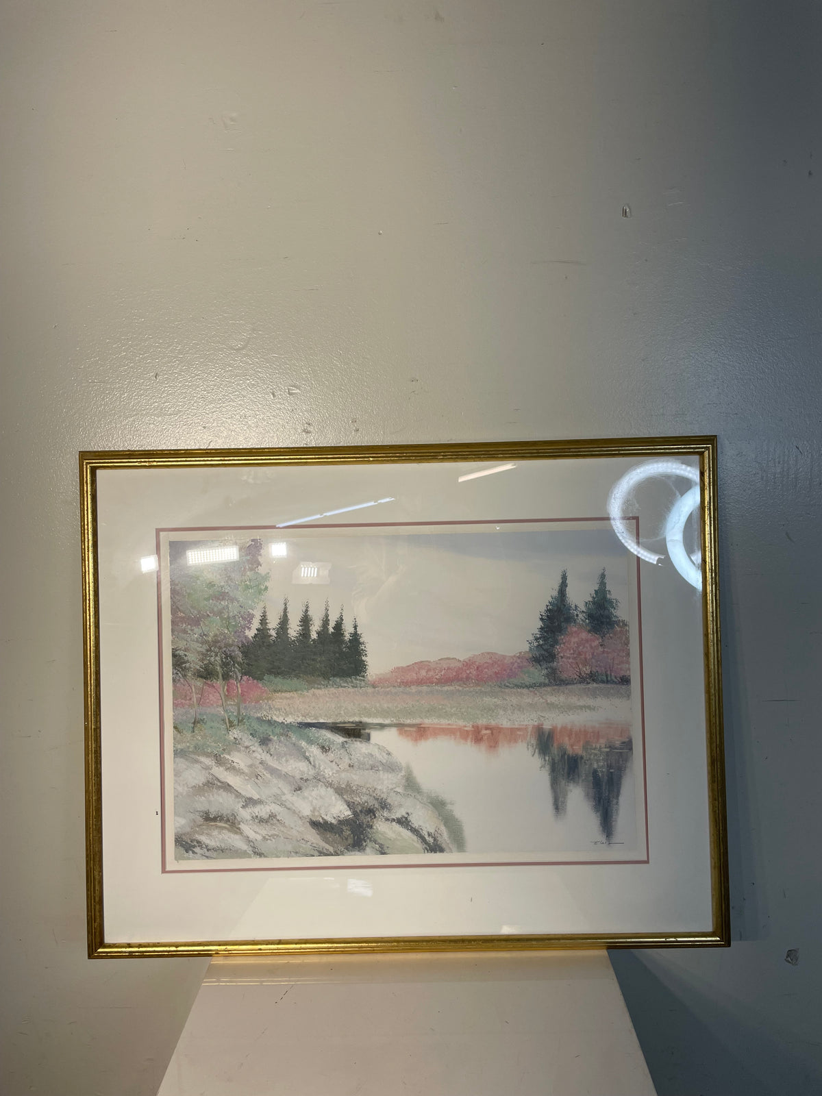 Lakeview Forest Print - Elis