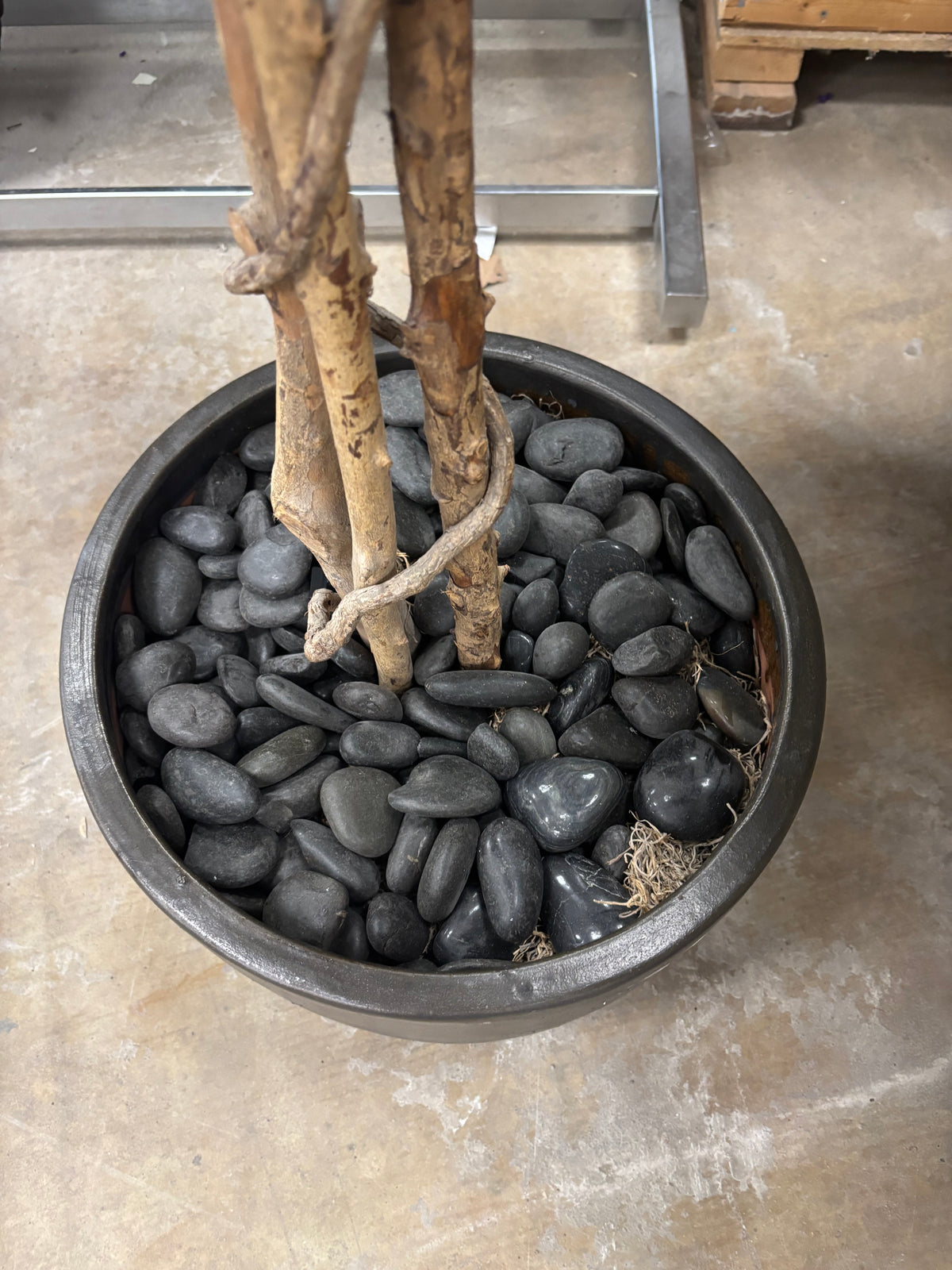 Artificial Ficus Tree with Round Base