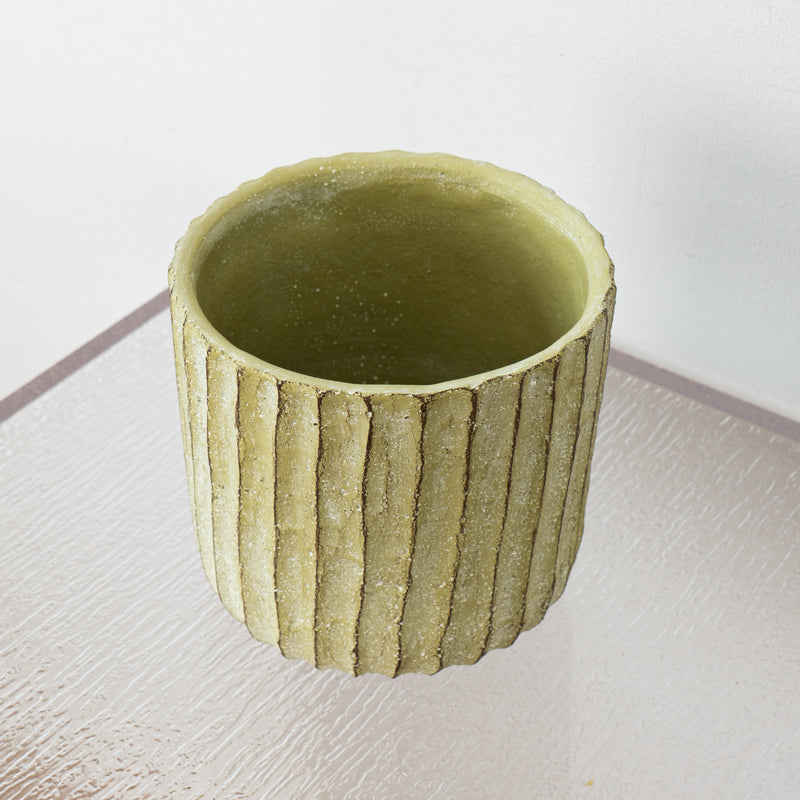 Cactus Rigid Cement Pots Set of 2