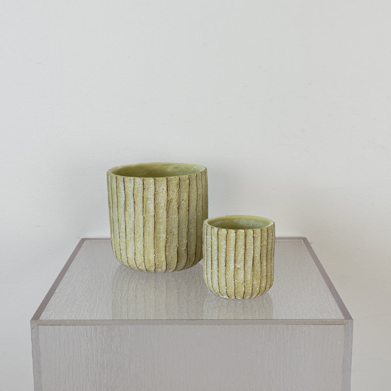 Cactus Rigid Cement Pots Set of 2