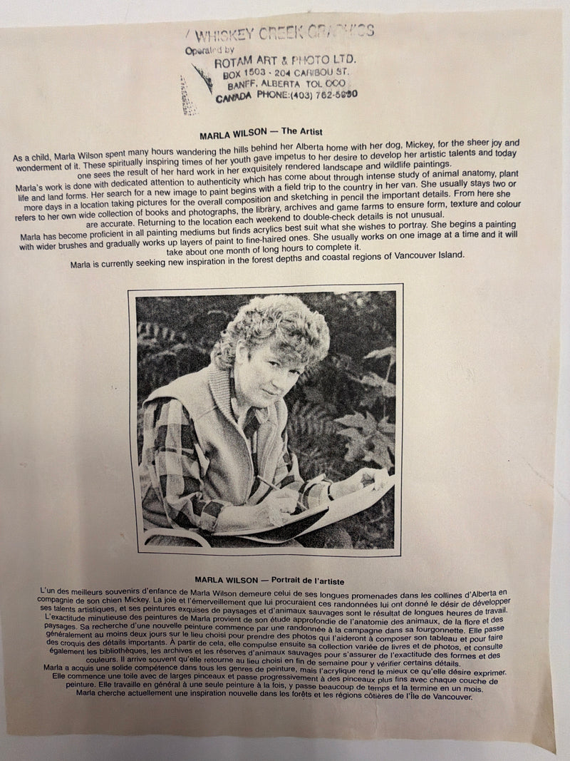 "Rocky Mountain  Big Horn Goat" Framed Limited Edition Print