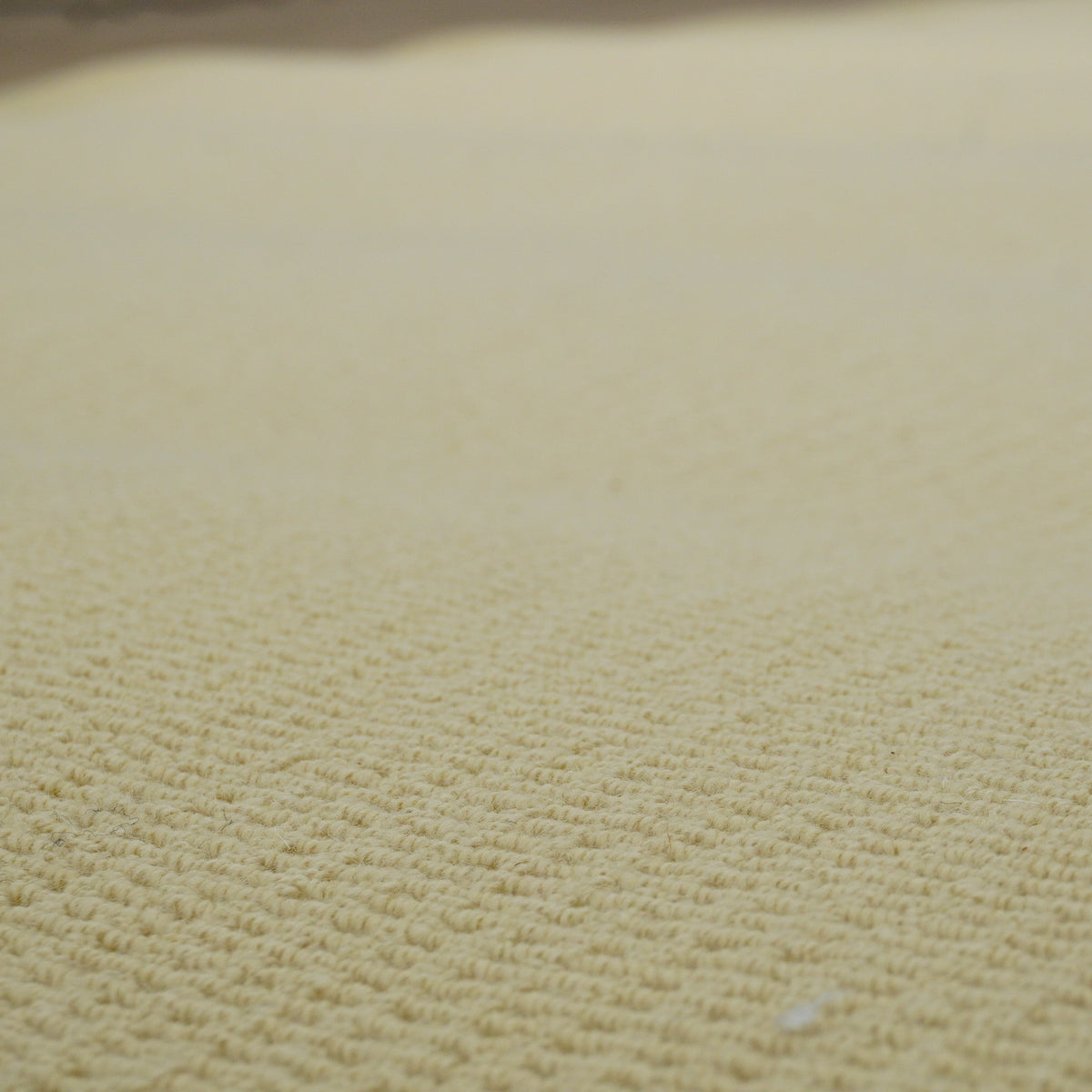 9×11-ft Sisal & Wool Area Rug – Sand Beige Flatweave, 288