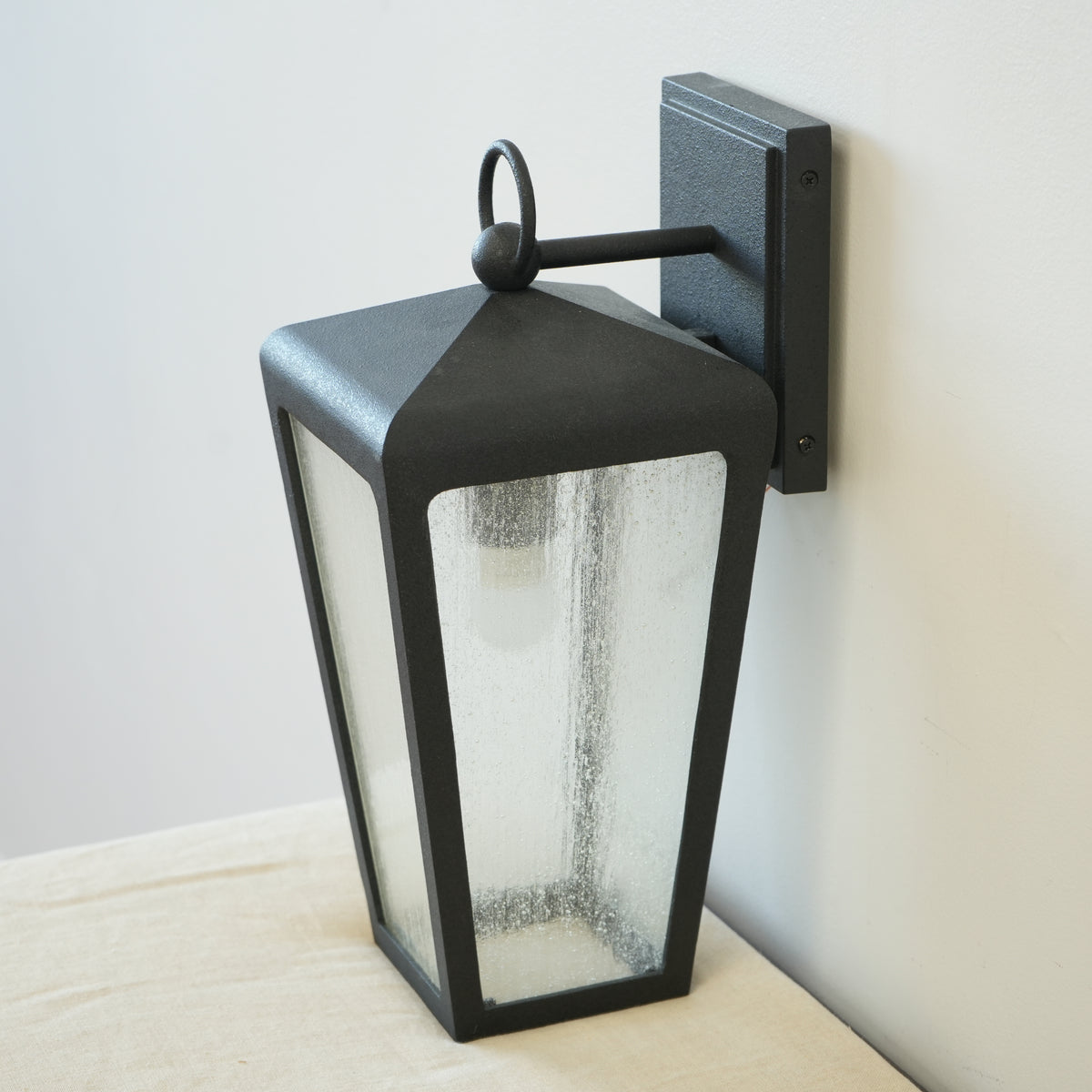 Classic Black Framed 1-Light Outdoor Wall Sconce with Frosted Glass