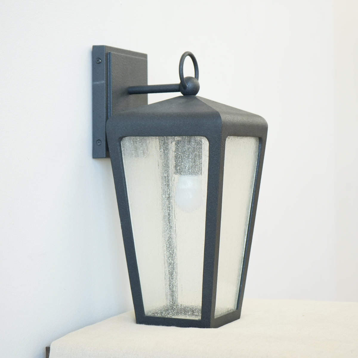 Classic Black Framed 1-Light Outdoor Wall Sconce with Frosted Glass