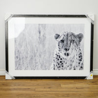 53×39–Inch Victorious Photograph – Matte Paper, Distressed Black Frame