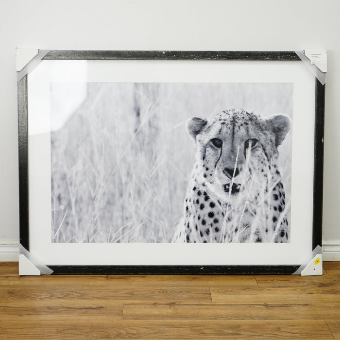 53×39–Inch Victorious Photograph – Matte Paper, Distressed Black Frame