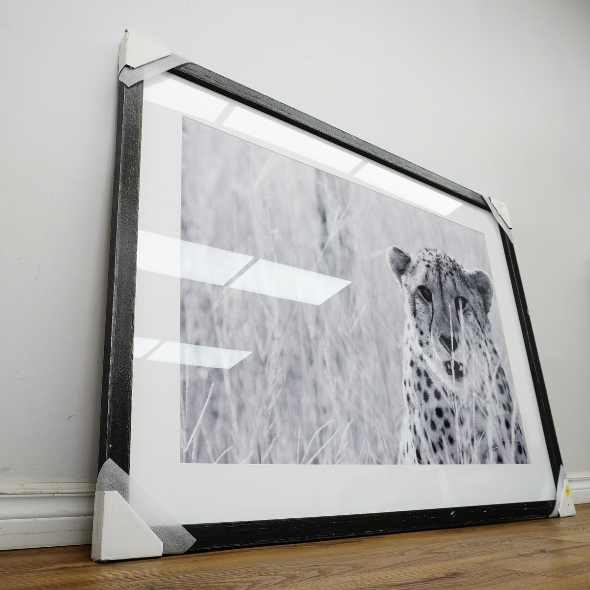 53×39–Inch Victorious Photograph – Matte Paper, Distressed Black Frame