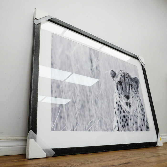 53×39–Inch Victorious Photograph – Matte Paper, Distressed Black Frame