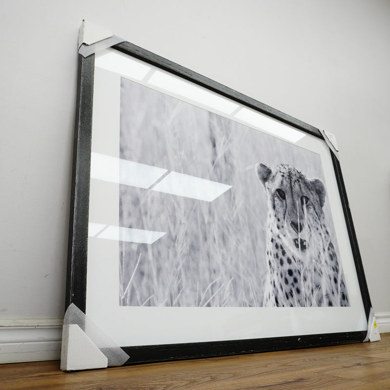 53×39–Inch Victorious Photograph – Matte Paper, Distressed Black Frame