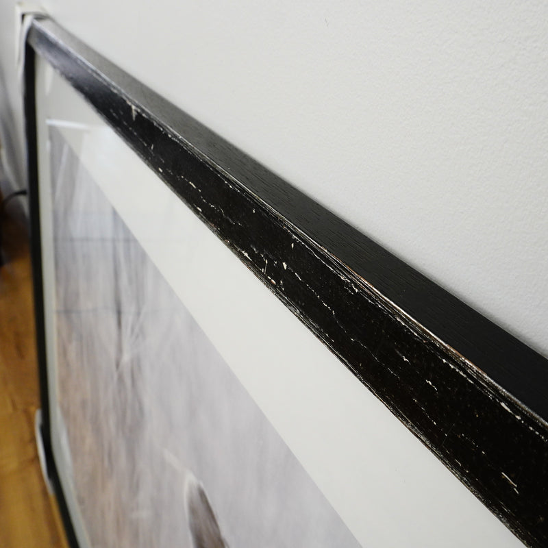 53×39–Inch Victorious Photograph – Matte Paper, Distressed Black Frame