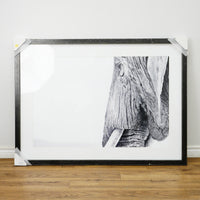 53×39–Inch Wisdom Photograph — Matte Paper, Distressed Black Frame