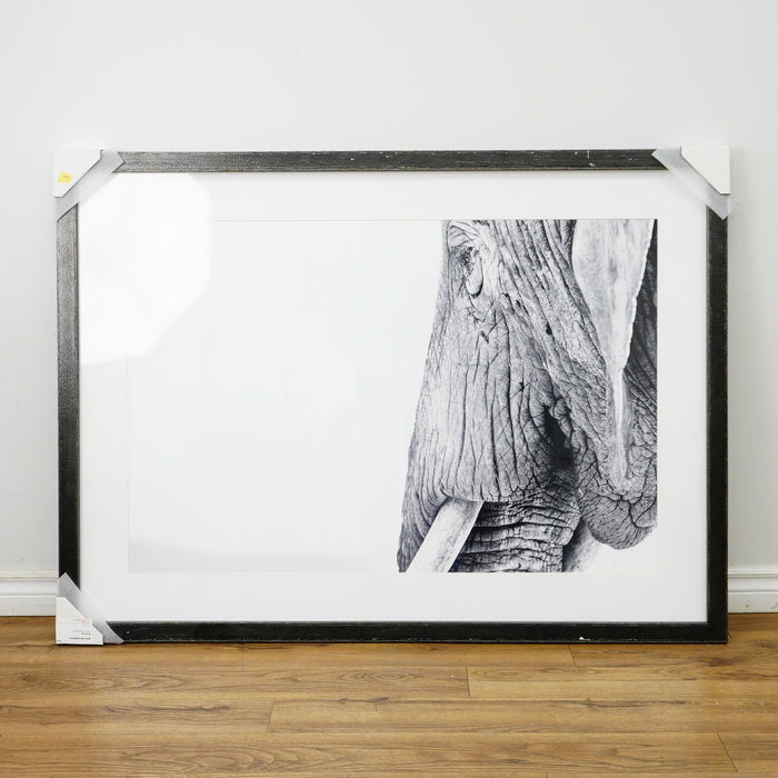 53×39–Inch Wisdom Photograph — Matte Paper, Distressed Black Frame