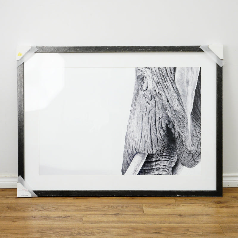 53×39–Inch Wisdom Photograph — Matte Paper, Distressed Black Frame