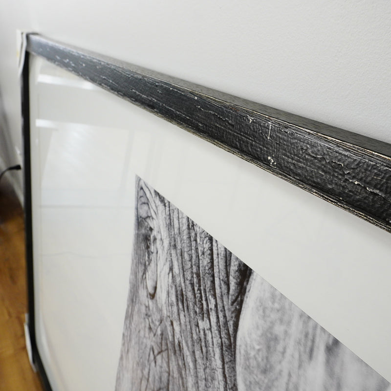 53×39–Inch Wisdom Photograph — Matte Paper, Distressed Black Frame