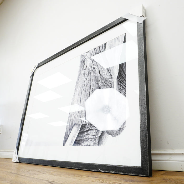 53×39–Inch Wisdom Photograph — Matte Paper, Distressed Black Frame