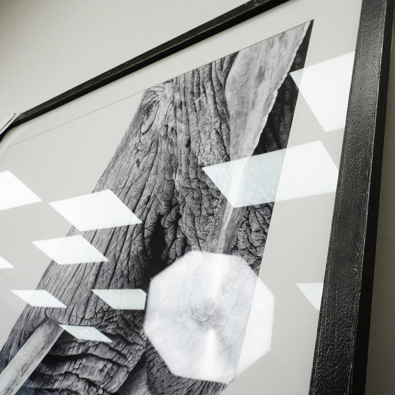 53×39–Inch Wisdom Photograph — Matte Paper, Distressed Black Frame